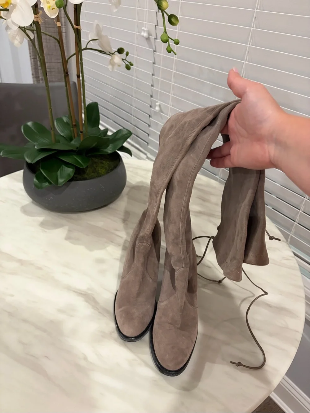 Stuart Weitzman Over-the-Knee Suede Boots in Taupe